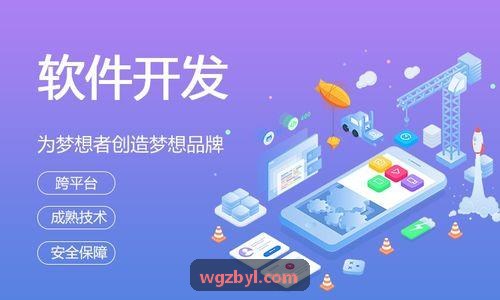输电线巡检J9实际调度应用